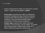 Programavimo kalbos c++ programos struktūra 11 puslapis