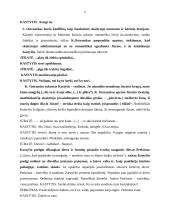 Žaidimas kultūros ženklais K. Ostrausko pjesėje ,,Jūratė ir Kastytis“ 2 puslapis