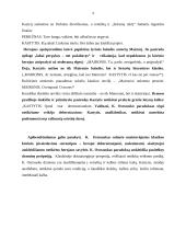 Žaidimas kultūros ženklais K. Ostrausko pjesėje ,,Jūratė ir Kastytis“ 3 puslapis