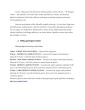 Miškų gaisrai Lietuvoje 4 puslapis