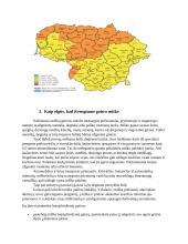 Miškų gaisrai Lietuvoje 5 puslapis