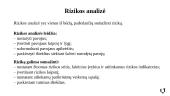 Sinchronizavimas tarptautiniame aptarnavime. Rizikos ir neužtikrintumai tarptautiniuose vežimuose 11 puslapis