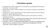 Sinchronizavimas tarptautiniame aptarnavime. Rizikos ir neužtikrintumai tarptautiniuose vežimuose 13 puslapis