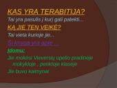 Tiltas į Terabitiją - knygos pristatymo skaidrės 2 puslapis