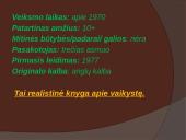 Tiltas į Terabitiją - knygos pristatymo skaidrės 3 puslapis