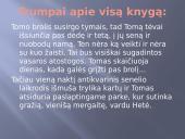 Tomo vidurnakčio parkas - knygos pristatymo skaidrės 4 puslapis