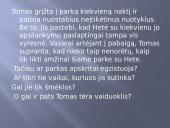 Tomo vidurnakčio parkas - knygos pristatymo skaidrės 5 puslapis