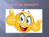 Tomo vidurnakčio parkas - knygos pristatymo skaidrės 7 puslapis