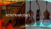 3-jų Instrumentų pristatymas. Kanklės, kontrabosas, gitara 5 puslapis