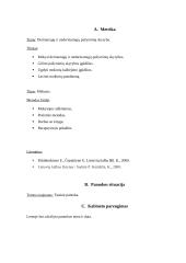 Lietuvių kalbos pamokos išplėstinis planas 2 puslapis