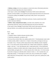 Lietuvių kalbos pamokos išplėstinis planas 7 puslapis
