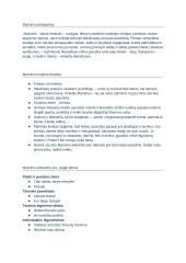 Maironio kūrybos analizė. Konspektas