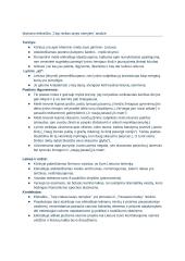 Maironio kūrybos analizė. Konspektas 2 puslapis