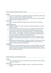 Maironio kūrybos analizė. Konspektas 3 puslapis