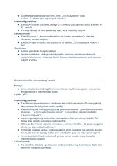 Maironio kūrybos analizė. Konspektas 4 puslapis