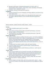 Maironio kūrybos analizė. Konspektas 5 puslapis