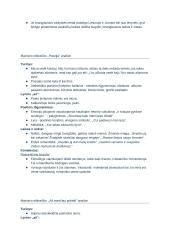 Maironio kūrybos analizė. Konspektas 6 puslapis