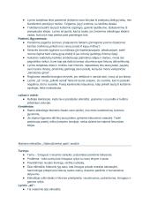 Maironio kūrybos analizė. Konspektas 7 puslapis