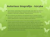 Maironis „Kur bėga Šešupė“ analizė 2 puslapis