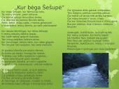 Maironis „Kur bėga Šešupė“ analizė 4 puslapis