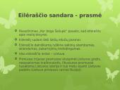 Maironis „Kur bėga Šešupė“ analizė 5 puslapis