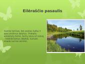 Maironis „Kur bėga Šešupė“ analizė 7 puslapis