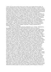 Gėrio ir blogio priešpriešos vaizdavimas literatūroje 2 puslapis