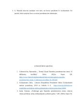 Lietuvos Respublikos Prezidento vaidmuo ir sąveika su Vyriausybe bei Parlamentu 11 puslapis