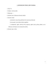 Lietuvių kalbos pamokos planas: dažniausiai daromos klaidos 2 puslapis