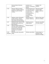 Lietuvių kalbos pamokos planas: dažniausiai daromos klaidos 4 puslapis