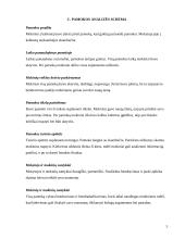 Lietuvių kalbos pamokos planas: dažniausiai daromos klaidos 5 puslapis