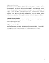 Lietuvių kalbos pamokos planas: dažniausiai daromos klaidos 6 puslapis