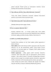 Visuomenės tipai pagal A. Giddensą 3 puslapis