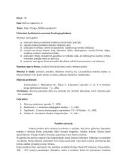 Literatūros pamokos išplėstinis planas: B. Sruoga "Milžino paunksmė" 2 puslapis