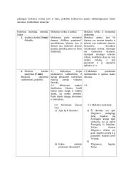 Literatūros pamokos išplėstinis planas: B. Sruoga "Milžino paunksmė" 3 puslapis