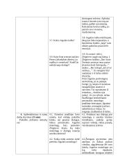 Literatūros pamokos išplėstinis planas: B. Sruoga "Milžino paunksmė" 6 puslapis