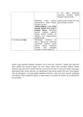 Literatūros pamokos išplėstinis planas: B. Sruoga "Milžino paunksmė" 7 puslapis