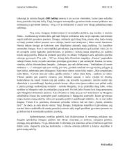 Ar sunku išsilaisvinti iš stereotipų? rašinys 2 puslapis