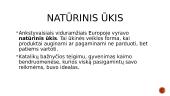 Viduramžių Europos ūkis 3 puslapis