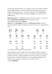 Geno veikimas ir genomas 2 puslapis