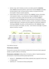 Geno veikimas ir genomas 13 puslapis