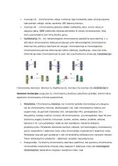 Geno veikimas ir genomas 14 puslapis