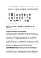 Geno veikimas ir genomas 15 puslapis