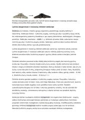 Geno veikimas ir genomas 17 puslapis