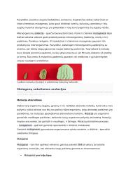 Geno veikimas ir genomas 18 puslapis