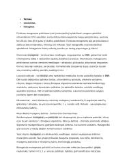 Geno veikimas ir genomas 19 puslapis