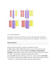 Geno veikimas ir genomas 3 puslapis