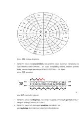 Geno veikimas ir genomas 7 puslapis