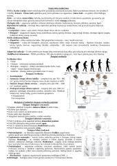 Evoliucija. Konspektas 2 puslapis