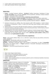 Genetinės informacijos perdavimas iš kartos kartai 2 puslapis